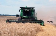 Украинские аграрии активно молотят зерно