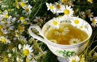 Ученые нашли чай, который обладает противораковыми свойствами